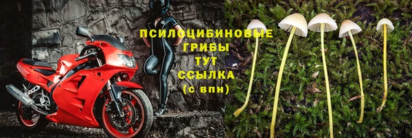 шишки Белоозёрский