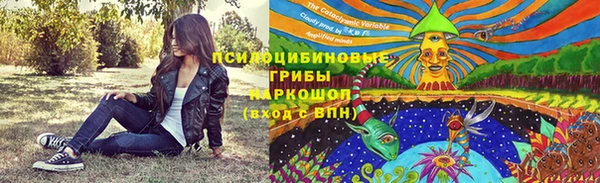 прущие крисы Богданович