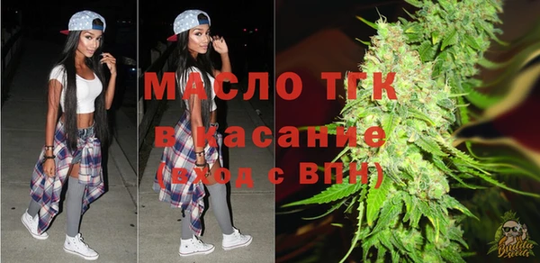 гашик Богородицк