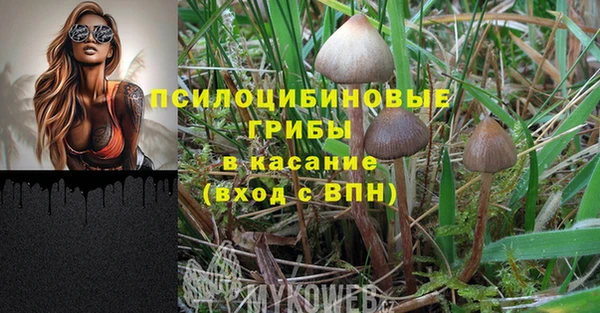 гашик Богородицк