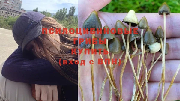 прущие крисы Богданович