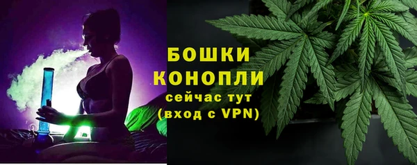 прущие крисы Богданович