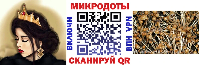 купить наркоту  ссылка на мегу   Псилоцибиновые грибы MAGIC MUSHROOMS  Чапаевск 
